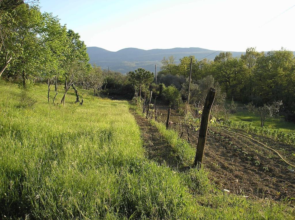 Villa Magda Chiusi Exterior foto