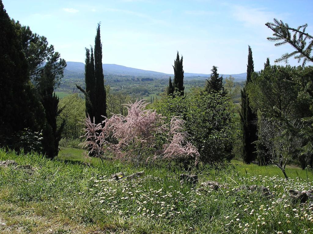 Villa Magda Chiusi Exterior foto