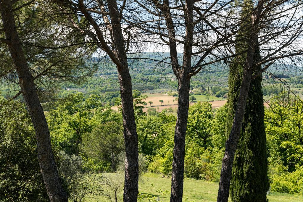 Villa Magda Chiusi Exterior foto