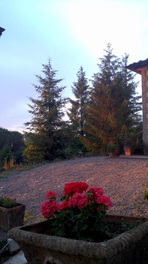 Villa Magda Chiusi Exterior foto